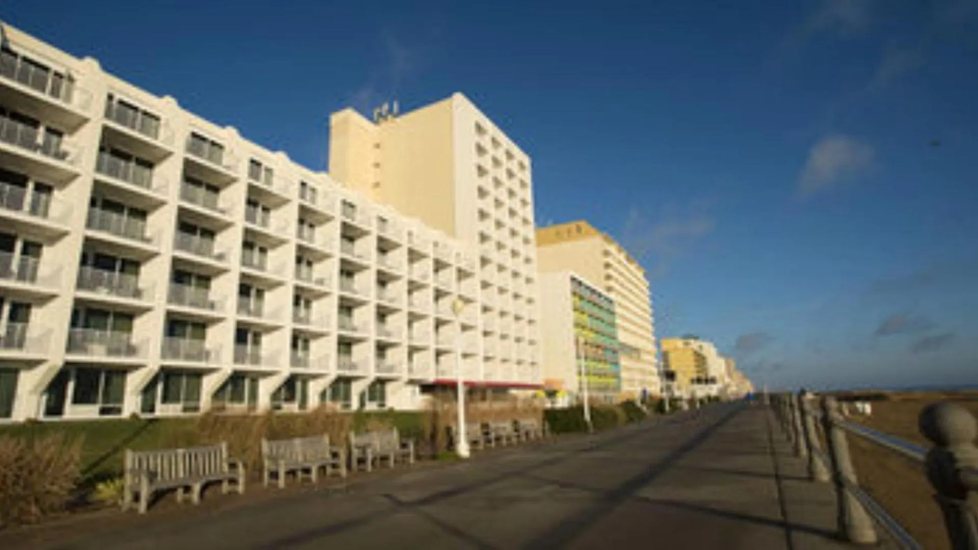 Dolphin Watching At The Ocean Sands Virginia Beach Apartment